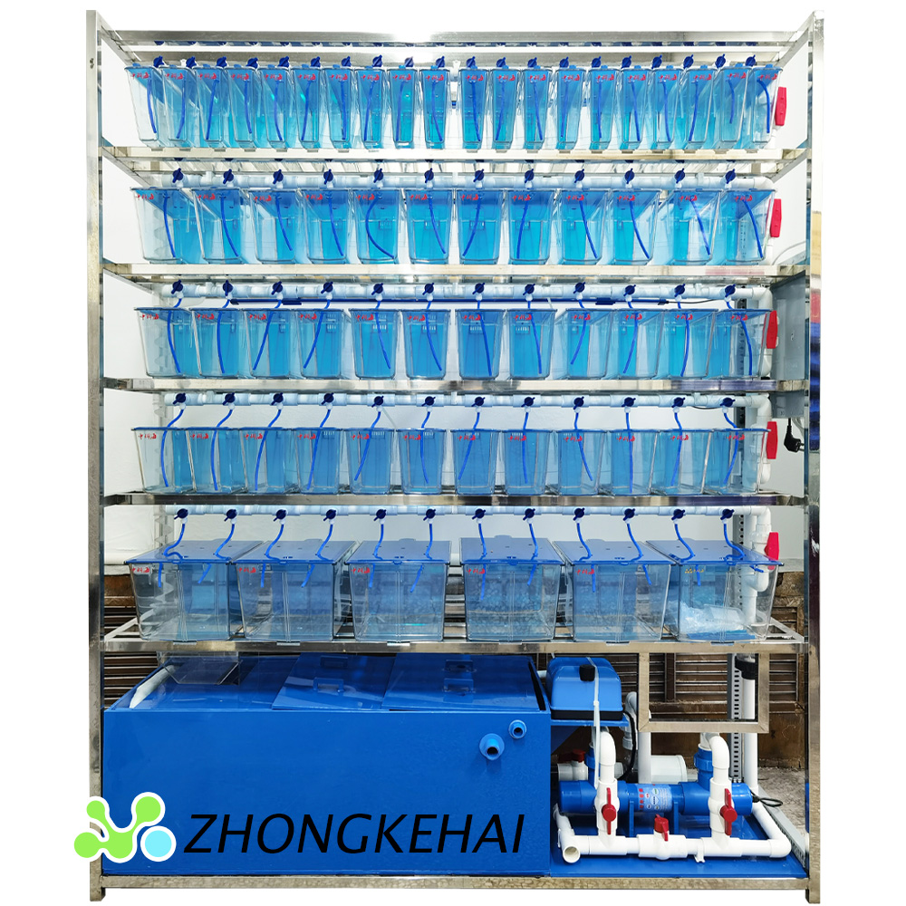 Zebrafish experimental system