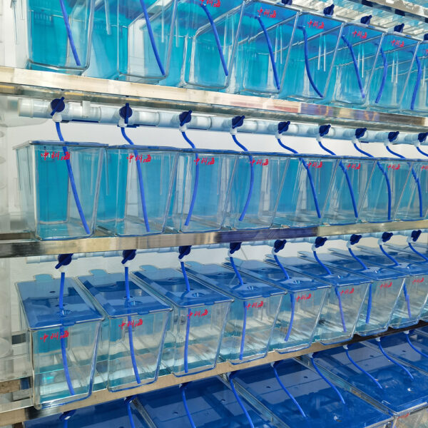 Hydrobiology Experimental System - Image 5