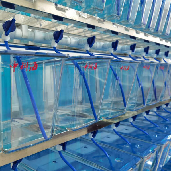 Hydrobiology Experimental System - Image 7