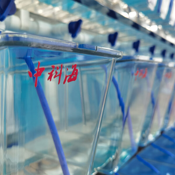 Hydrobiology Experimental System - Image 8